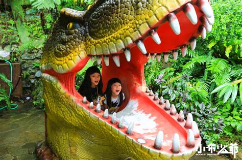 沖繩親子景點｜dino恐龍公園，在熱帶原始林間探險與侏儸紀恐龍面對面