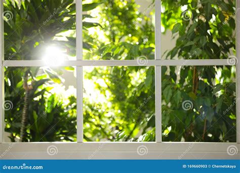 Beautiful View Through Window On Garden Stock Image Image Of Spring