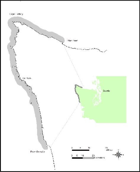 Figure 1 From SEA OTTER Enhydra Lutris Kenyoni Semantic Scholar