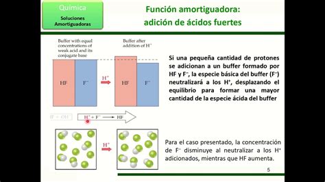 Espectacular Espectacular Aptitud Funcion Amortiguadora Pedazo Cliente