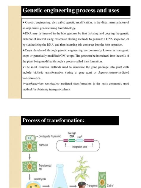 Gene transfer techniques (1) | PDF