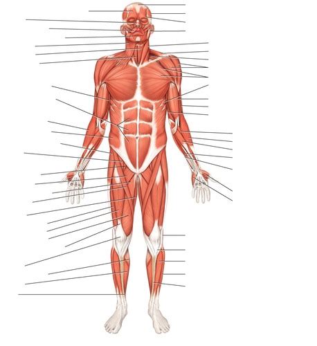 Exam Material Flashcards Quizlet