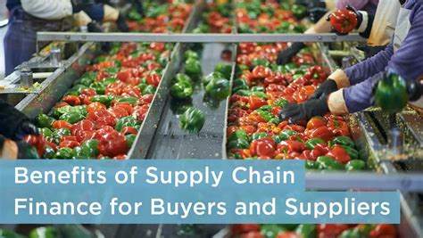 Benefits Of Supply Chain Finance For Buyers And Suppliers Primerevenue