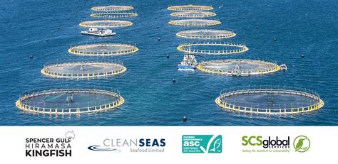 Clean Seas Seafood Achieves Asc Certification