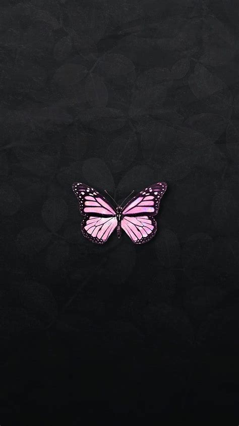 Pink Holographic Butterfly On A Black Background Premium By Tech