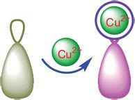Cu Selective Naked Eye And Fluorescent Probe Its Crystal Structure And Application In
