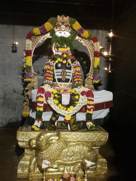 Best 50 Lord Kala Bhairava Photos God Kala Bhairava Images And Wallpaper