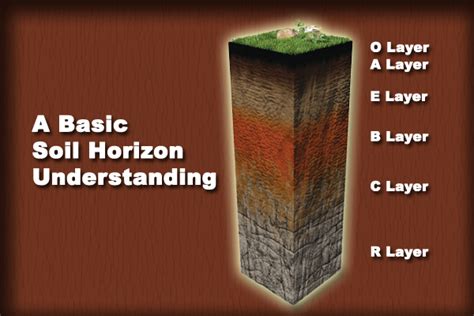 Permaculture Tip of the Day - A Basic Soil Horizon Understanding – School of Permaculture