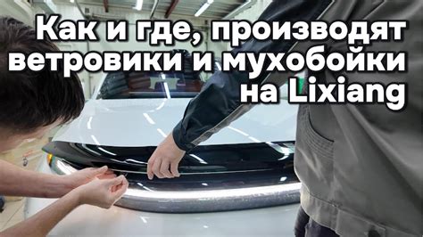 Где купить и как производят ветровики для автомобилей Lixiang (Li-Auto ...