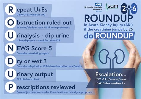 Acute Kidney Injury SIG - Society for Acute Medicine