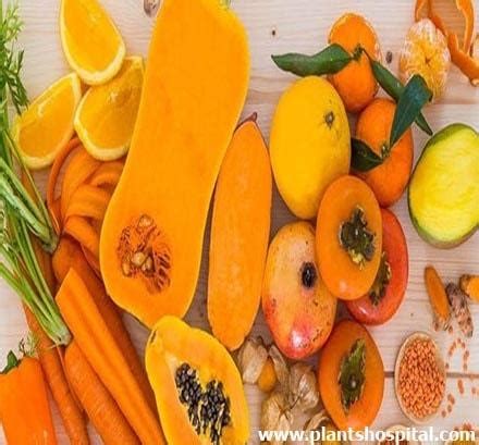 10 Health Benefits Of Orange & Yellow Fruits Benefits (10 Best Reasons)