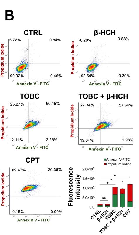 Flow Cytometric Analysis On Lncap Cells A Analyses Of Cycle