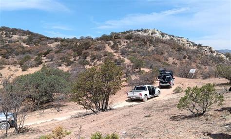 Enfrentamiento En Pinos Zacatecas Deja Muertos Y Detenidos