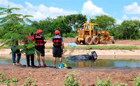 Mujer Muere Ahogada Al Caer Veh Culo En Canal De Riego De La Comunidad