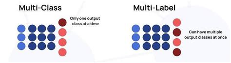 Difference Between Multi Class And Multi Label Classification