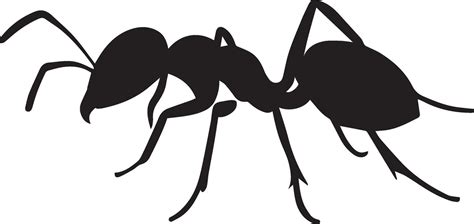 Ant vector silhouette illustration black color 27475926 Vector Art at ...