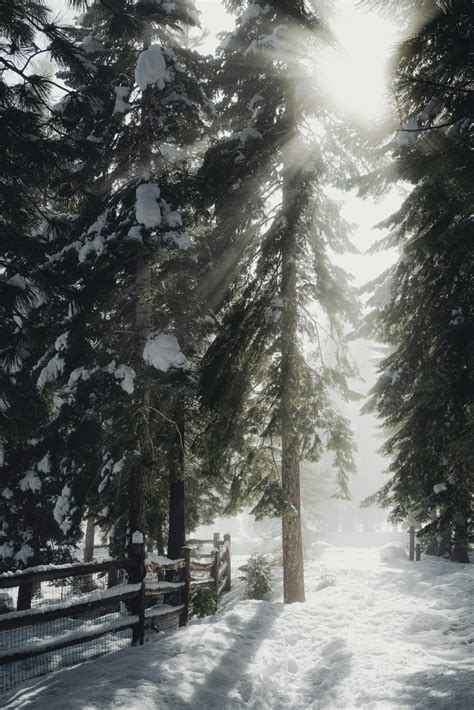 California Mountain Ranges: A Guide To The State's Most Scenic Peaks