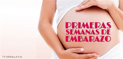 Primeras Semanas Del Embarazo De La 1ª Al 3era Gestación Completa