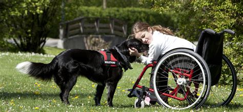 Therapiehunde Mai Hundeschule