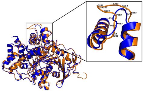 Superposition Of Cartoon Representations Of The Crystal Structures Of