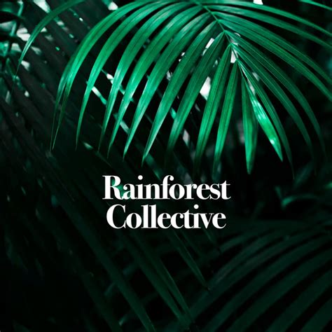 Rainforest Collective Album By Nature And Rainforest Sounds