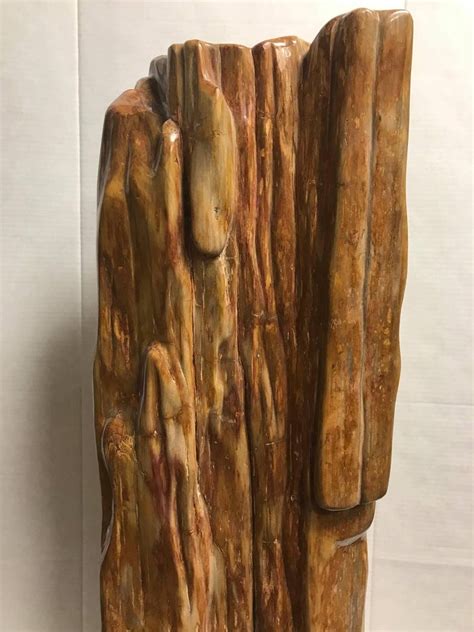 Large Modern Polished Petrified Wood Decorative Specimen For Sale At