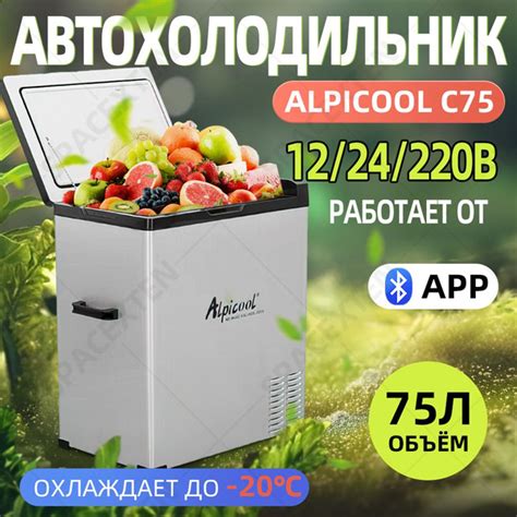 Автомобильный холодильник Alpicool С75 (12В/24В/220В) 75 литров ...
