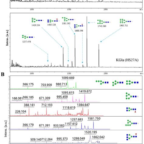 A MALDI TOF TOF MS Spectra And B Corresponding MS MS Spectra Of