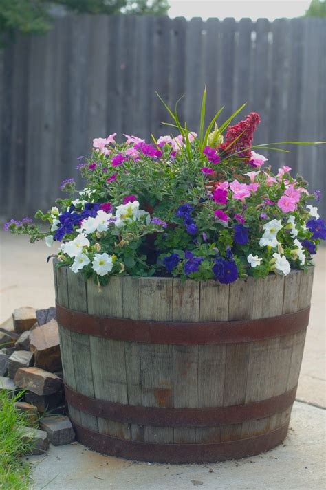 Pin by Sandy Larsen on Outside project ideas | Whiskey barrel planter flowers, Whiskey barrel ...