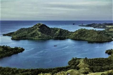 Desa Wisata Twal Surga Snorkeling Dan Diving Di Flores Desa Mandiri