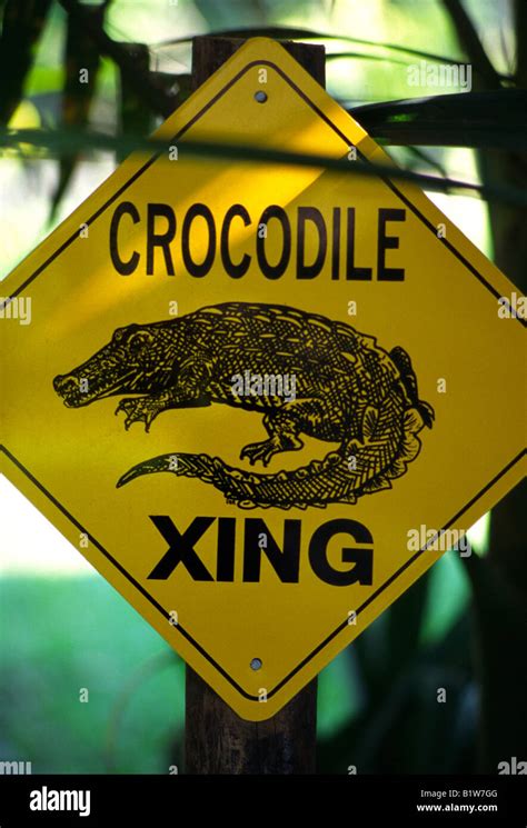 Crocodile Warning Sign Queensland Australia Stock Photo Alamy