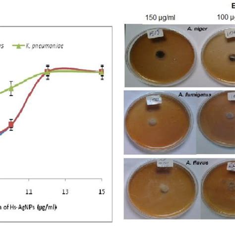 Antibacterial A And Antifungal B Activities Of Hs Agnps