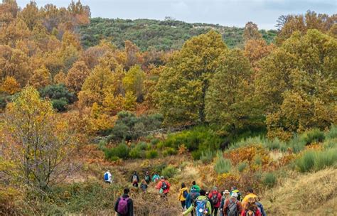 Otoño Mágico en el Valle del Ambroz y Otoñada en el Jerte 2022