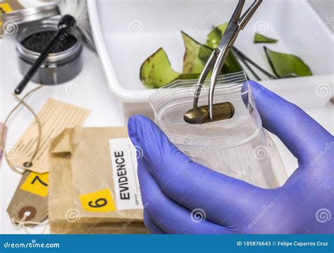 Scientific Police Examining A Bullet Cap In Ballistic Laboratory Stock