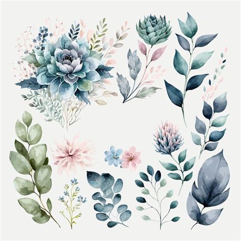 Premium Vector Watercolour Floral Illustration Set Decorative