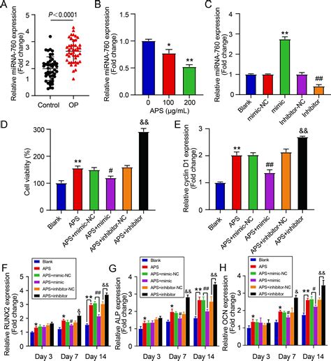 Astragalus Polysaccharide Promotes Osteogenic Differentiation Of Human