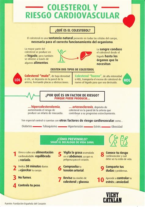 Como Prevenir El Colesterol Trucos De Mam S