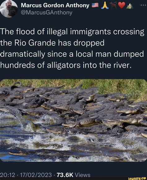 Marcus Gordon Anthony The Flood Of Illegal Immigrants Crossing The Rio