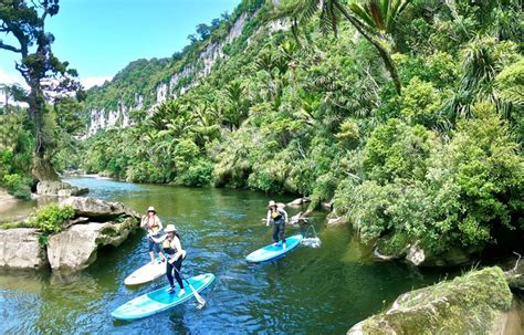 Walks Tramping And Hiking In Punakaiki Official Punakaiki Tourism Website