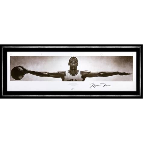 Download Free 100 + michael jordan wingspan