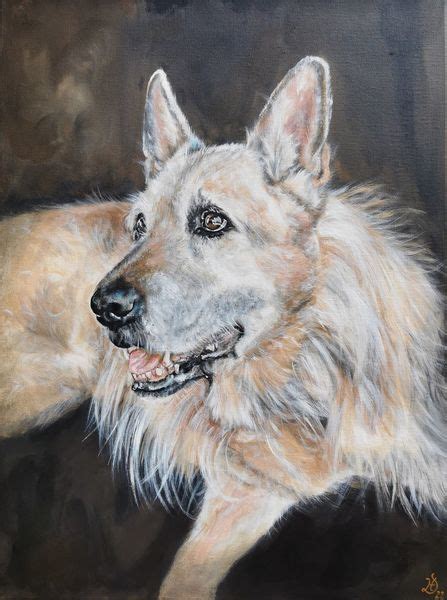 Bild Hund Hundeportrait Malerei Von Heike Deininger