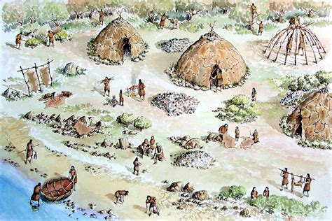 Mesolithic Camp Conjectural Location This View Shows A Detail Of A