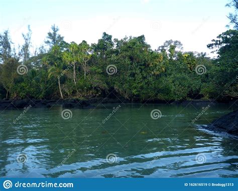 Ocean Water and Fresh Water Merge at Carlsmith Beach Park Stock Image ...