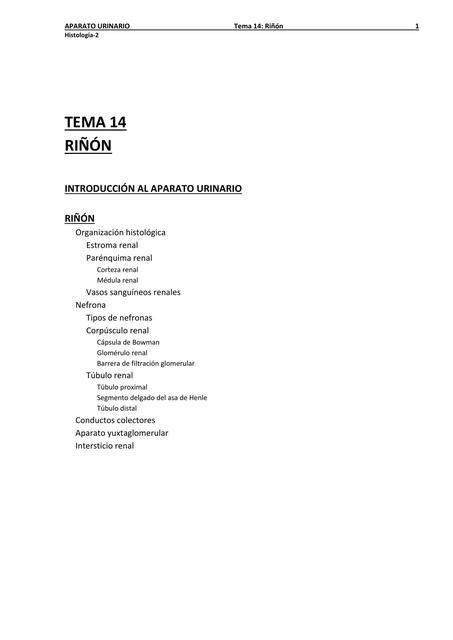 Sistema Urinario Dra Xmed Udocz