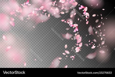 Flower petals in the wind Royalty Free Vector Image