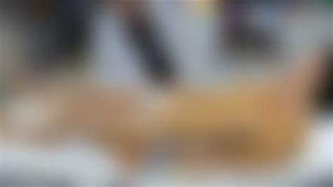 Ekg Porn Videos Clips4sale