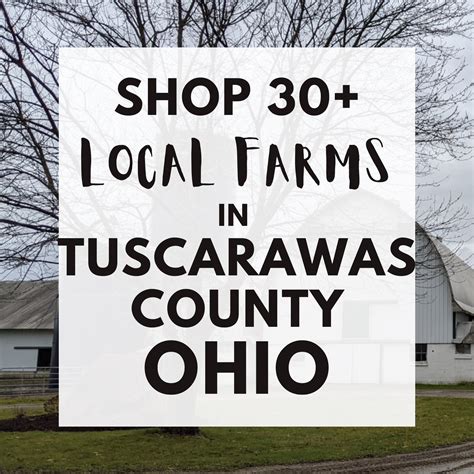 job and family services tuscarawas county ohio 6