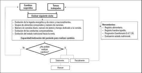 Protocolo De Educaci N Nutricional En El Tratamiento De Los Trastornos