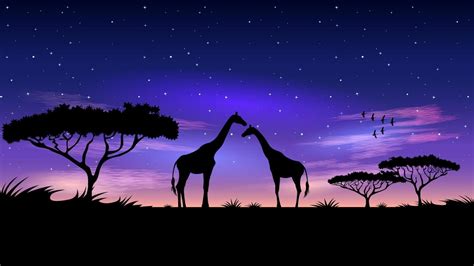 Africa at Night starry sky background 2402682 Vector Art at Vecteezy