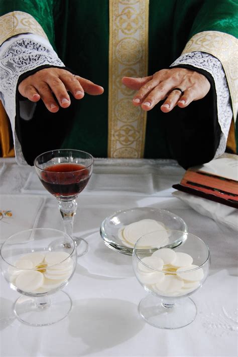 Ani Ledodi Vedodi Li O Simbolismo Do P O E Do Vinho Na Eucaristia